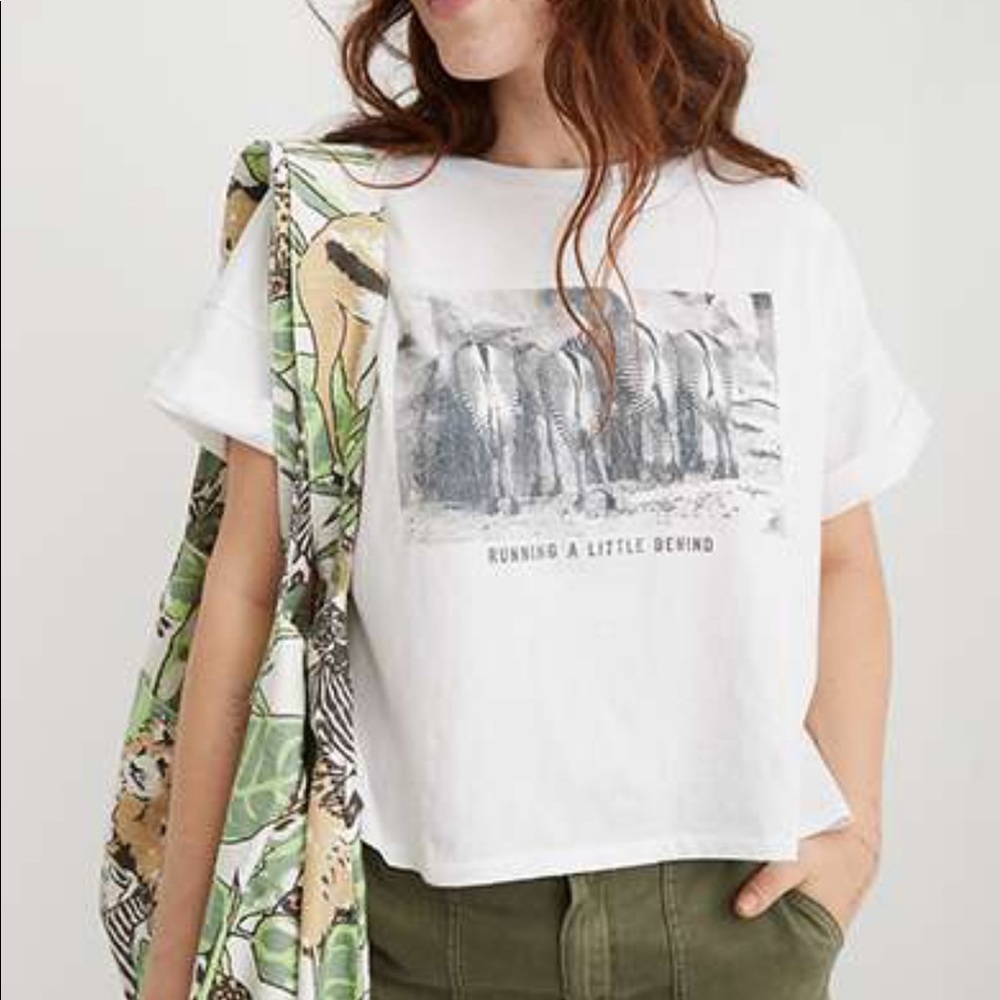 Aerie Zebra Graphic Oversized Cropped T-Shirt